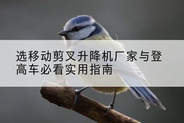 印江电动升降机厂家-选移动剪叉升降机厂家与登高车必看实用指南