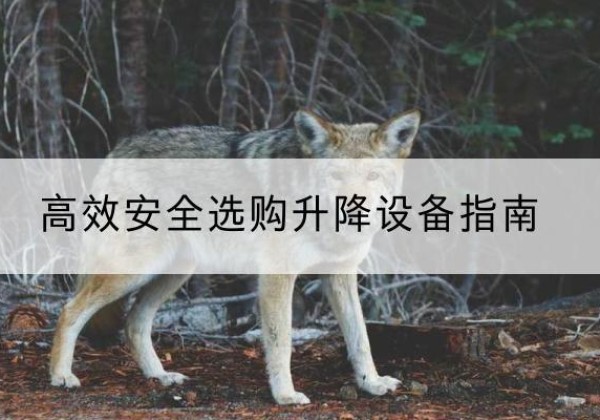 印江升降货梯厂家推荐-*安全选购升降设备指南